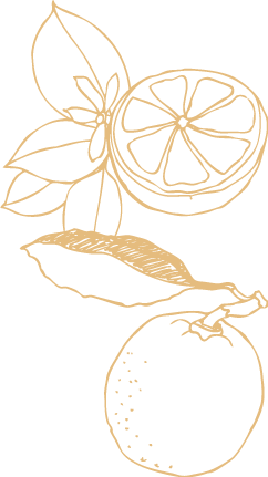Lemons illustration from Maremma Paros restaurant.