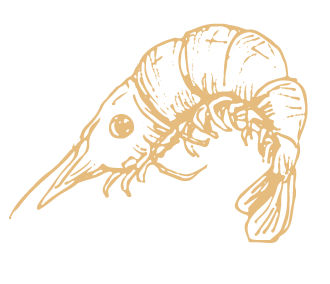 Shrimp illustration from Maremma Paros restaurant.